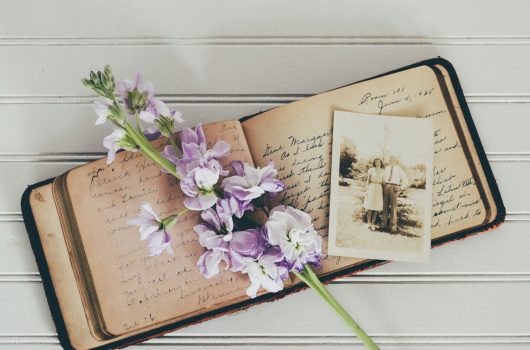 2 debby-hudson-1tCQcTjLoRQ-unsplash (1) (1)