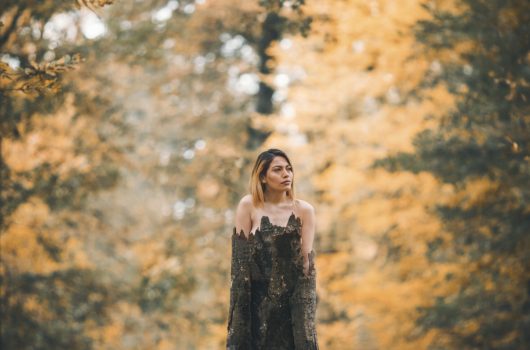 3 mohammad-gh-682387-unsplash